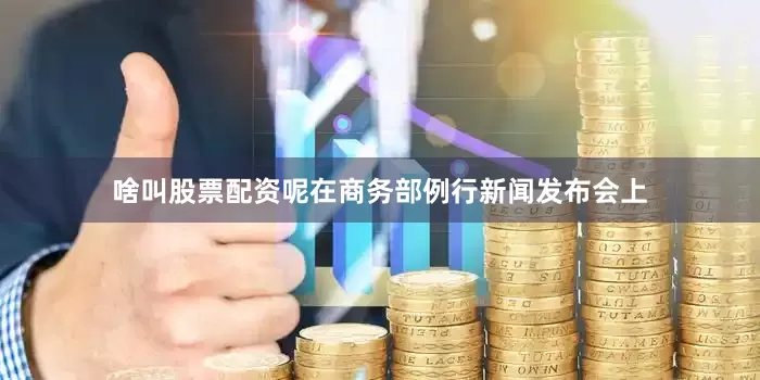 啥叫股票配资呢在商务部例行新闻发布会上