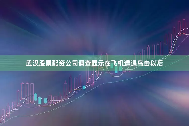 武汉股票配资公司调查显示在飞机遭遇鸟击以后