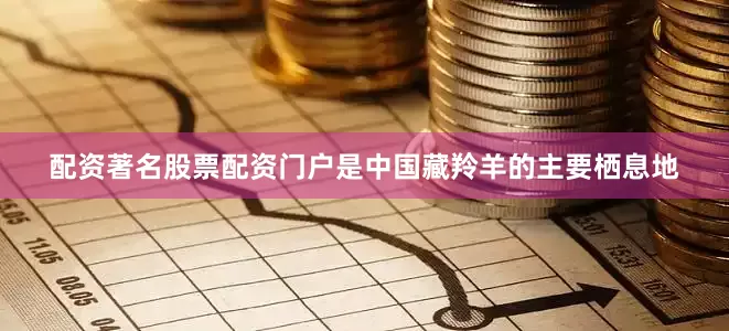 配资著名股票配资门户是中国藏羚羊的主要栖息地