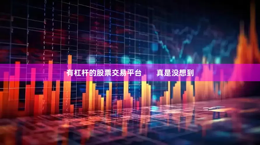 有杠杆的股票交易平台       真是没想到