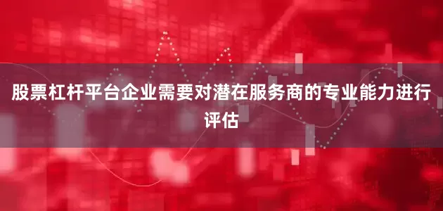 股票杠杆平台企业需要对潜在服务商的专业能力进行评估